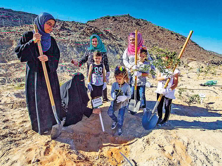 NAT_181219-1000-Trees-Planted-by-EEG2-(Read-Only)