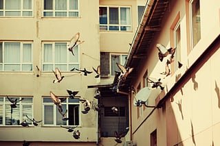 Reader's views: Unexpected friendships in the city