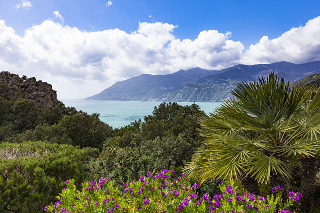 RDS 181215 Wonders of seasons1