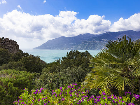 Picture for illustrative purposes only. 