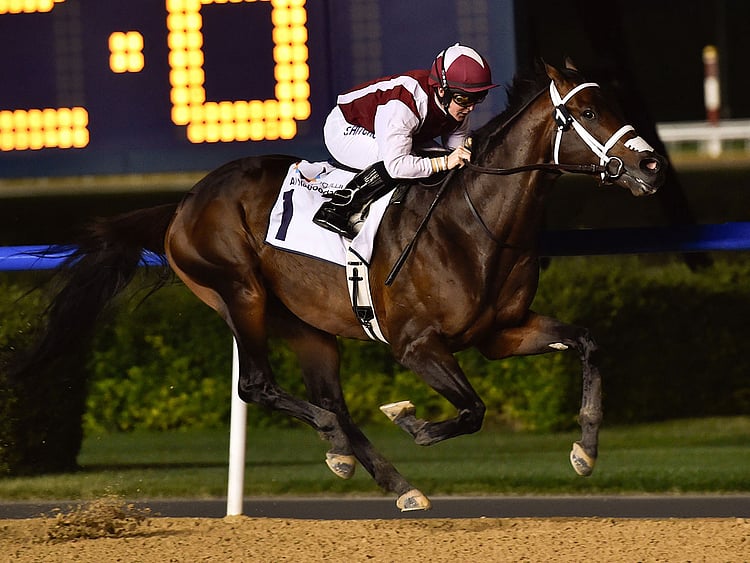 SPO-181219-ONE-MAN-BAND-(Read-Only)