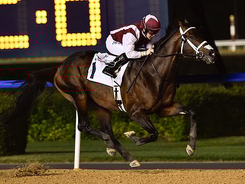The seven-year-old One Man Band, who won the Group 2 Godolphin Mile in his previous run in 2016 , is gearing up for the Dubai World Cup Carnival in today’s feature race at Meydan.