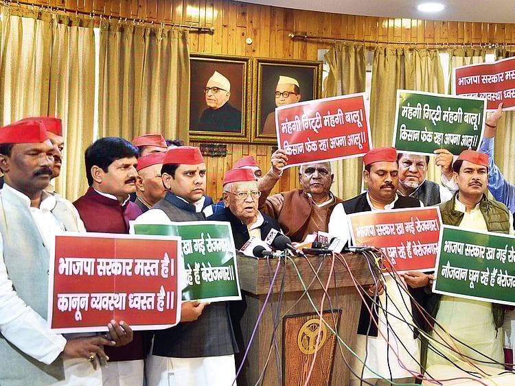 WIN_181219-Yogi-(Read-Only)