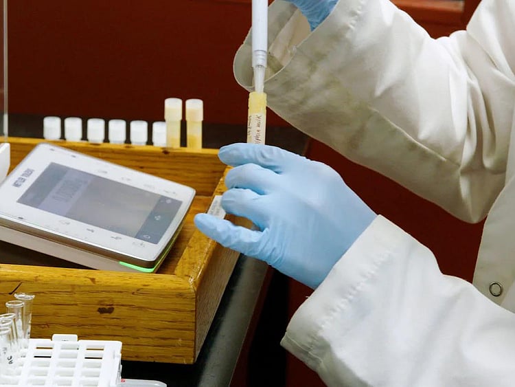 FTC 1811225 GORILLA1