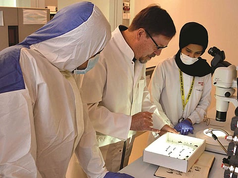 Dubai Police introduce Forensic Entomology Database.