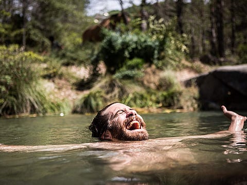 ‘The Sisters Brothers’ film review: Bloody, but sensitive