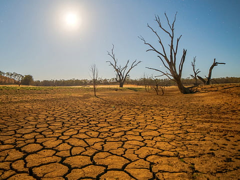 Save the environment to save Life.