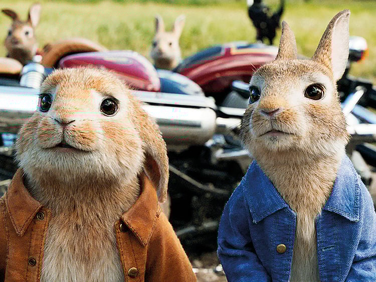 1.2172219-3085965153