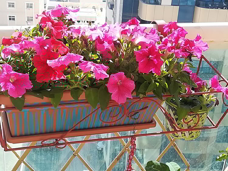 1.2172983-2086371242