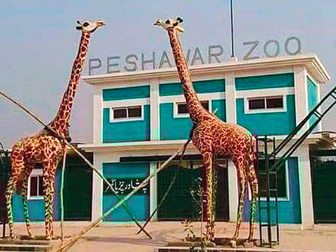 Courtesy: Khyber Pakhtunkhwa government 
