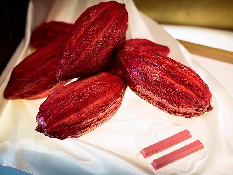 1.2173324-4060378191