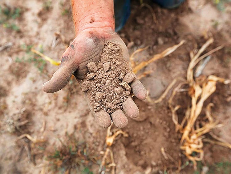 1.2173506-3797668661