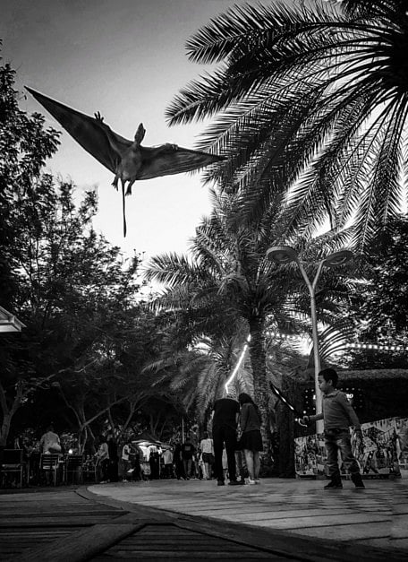 1.2174527-3655576984