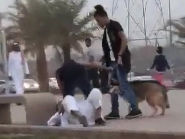 1.2174542-3378625196