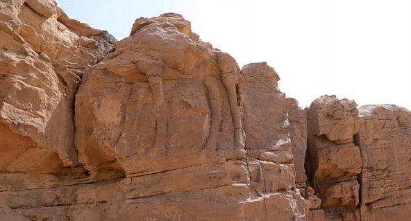 1.2175077-1524873039