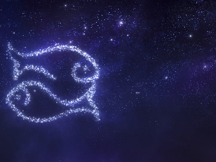 1.2178545-2205957555