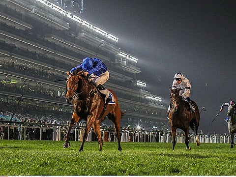 Dubai Racing Club will host a unique seven-race card at Meydan to mark the 50th National Day of the UAE.