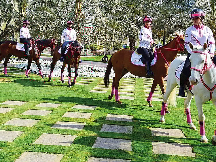 1.2176127-2981279769