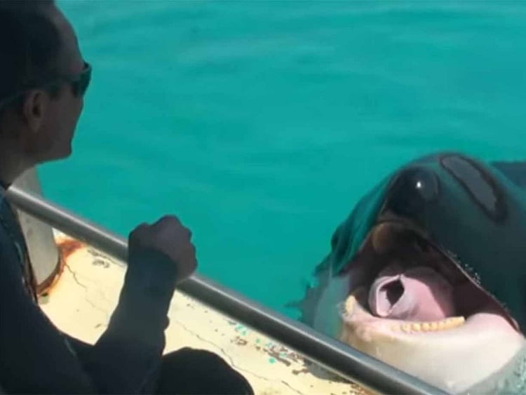 1.2167215-3924251146