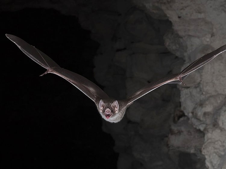 1.2176327-3086681012