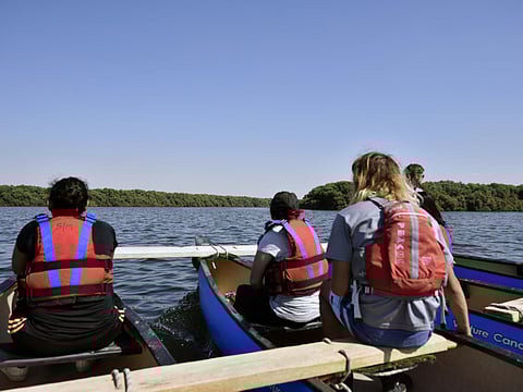 Kayaking trips through the mangroves are available at the Al Zorah Nature Reserve.