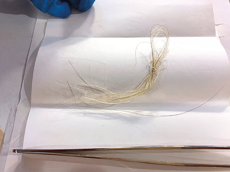 1.2178414-1666062201