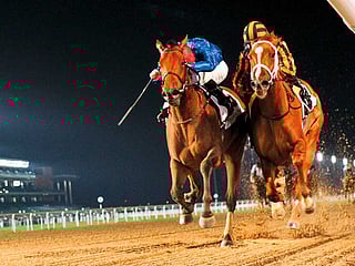 Emirates Racing Authority all set to welcome fans back for 2021-2022 UAE racing season