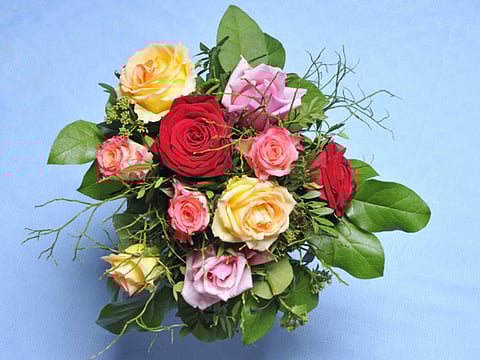 Valentines’ Day: The meaning of flowers