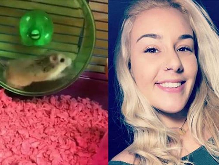 1.2170811-2679103048