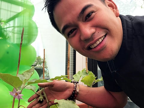 Dubai chef offers tours of his greenhouse