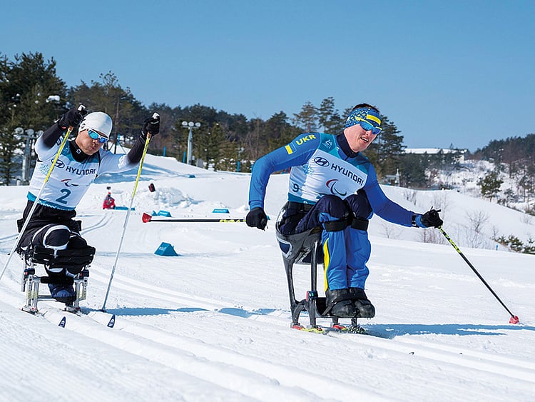 1.2186013-3378239343