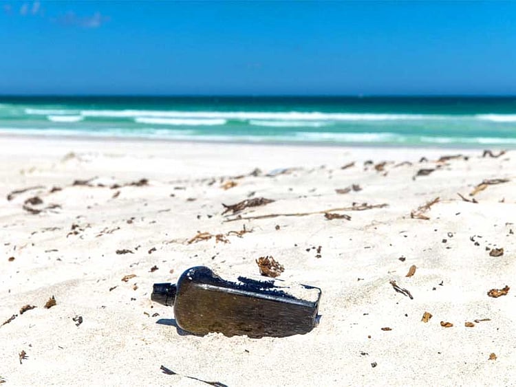 1.2186033-1717114273