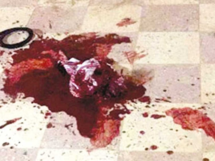 1.2185717-3887455909