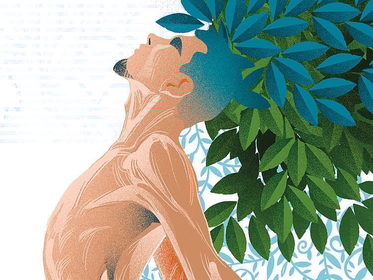 1.2187324-2872110257