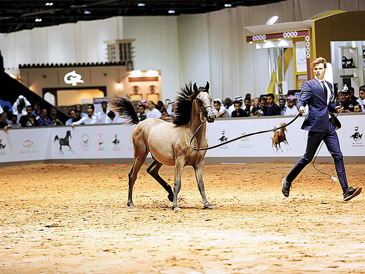 1.2188230-3896439250