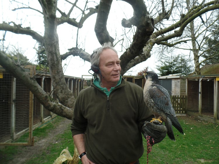 1.2187903-2460019465