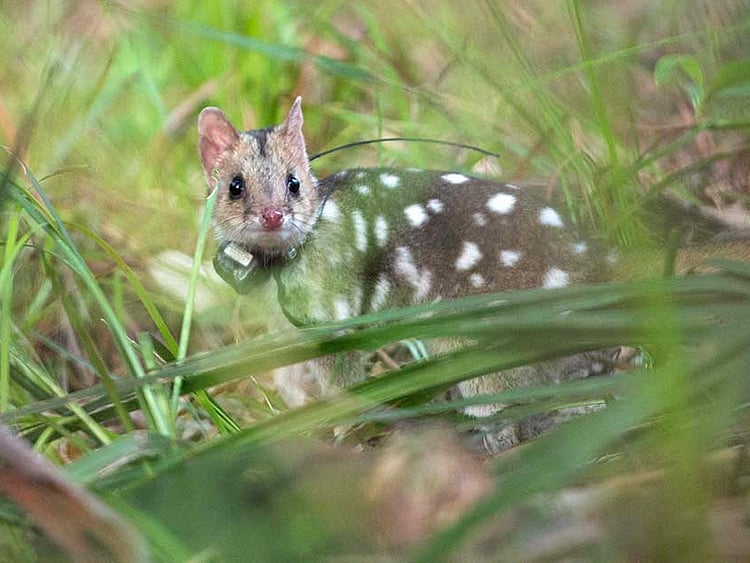 1.2188528-4112533944