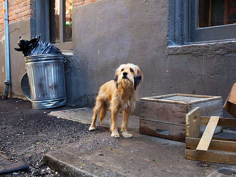 1.2188577-3198994456