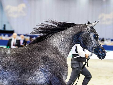 Ahmed Ramzan/ Gulf News