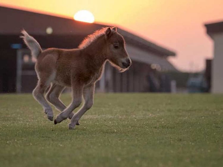 1.2188909-2348058007