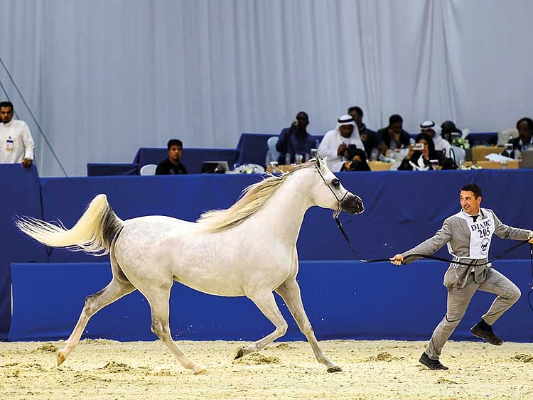 1.2190313-3402021964