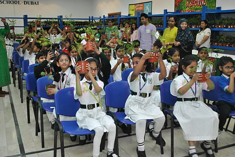 2,083 saplings: Students in UAE plant new record 