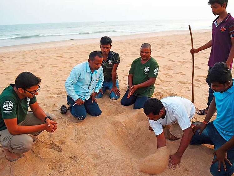 1.2192392-2309241459