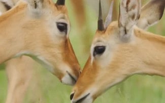 1.2193148-1889202214