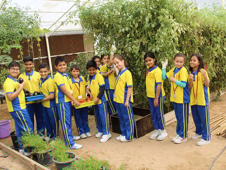 1.2193347-1990195343