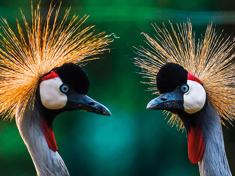 1.2193558-2307003130