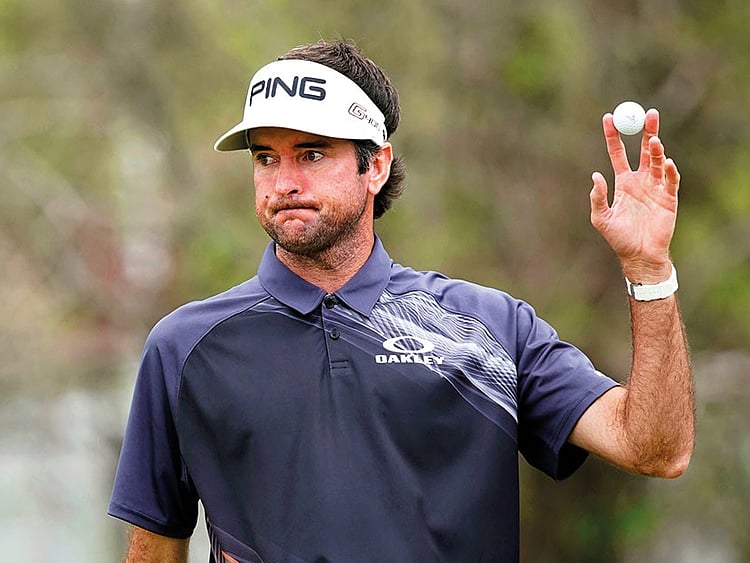 1.2194626-1156042502