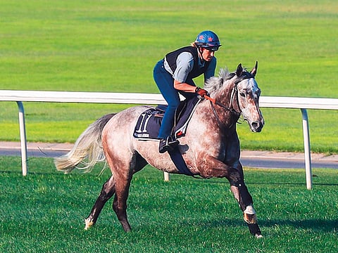 KVT looking to create magical memories at Meydan