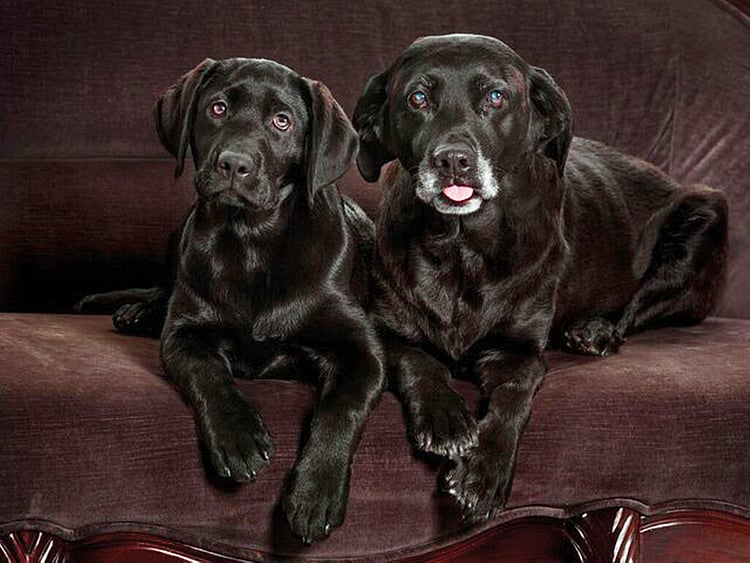 1.2181865-2141310325