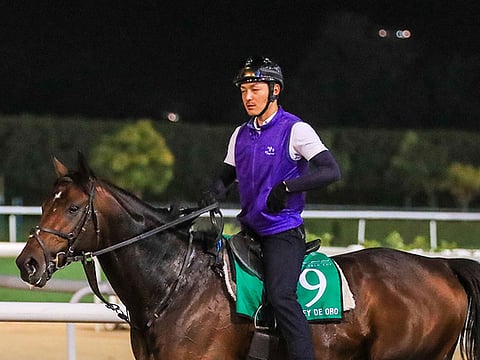 Rey de Oro looks to confirm his name as King Of Gold